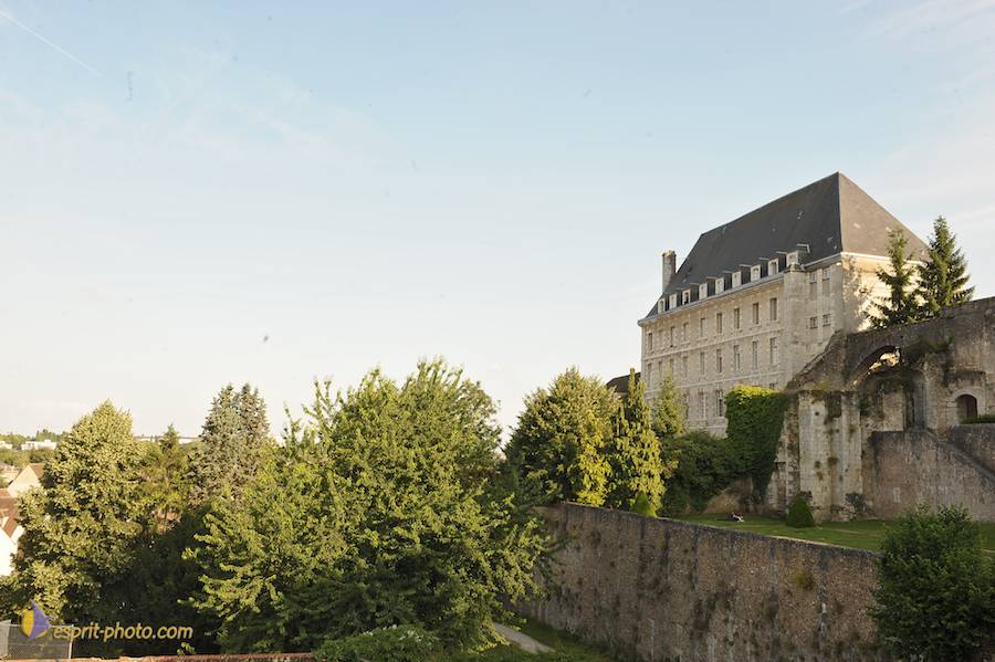 Nom de l'image : D30059194_1_(c)Norbert-JUNG — Description :